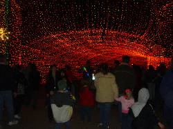 2005-12-22-20.JPG